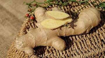 The Health Benefits of Ginger Shots [Buyer’s Guide]