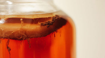 Kombucha vs. Apple Cider Vinegar: Which is Better?